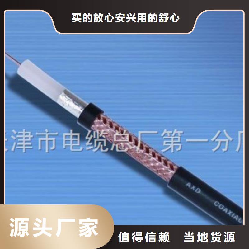 桂园街道屏蔽射频电缆SYP-3275-7