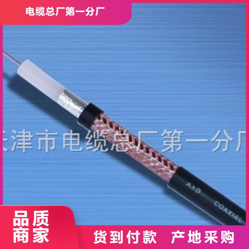 容桂街道耐火射频电缆NH-A-SYV75-15