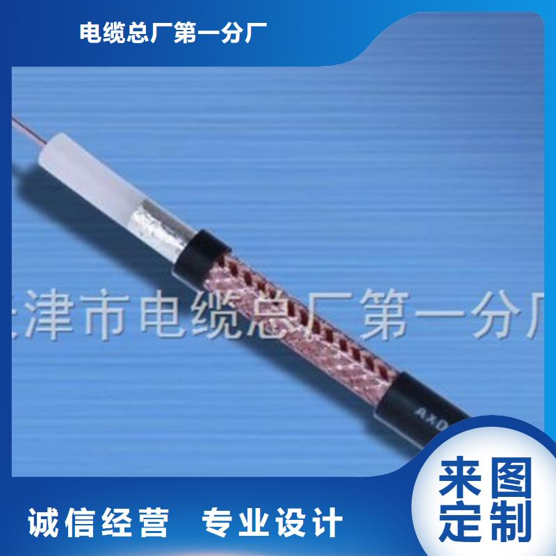 SYP-32屏蔽射频电缆50-3