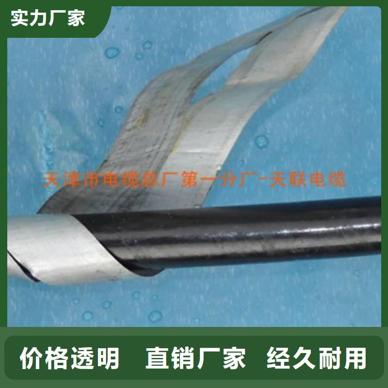 低烟低卤TZYV铁路隧道电缆