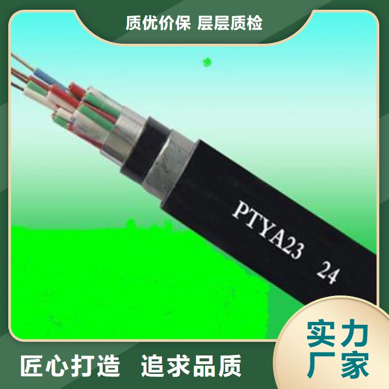 低烟低卤PTYA铁路信号电缆