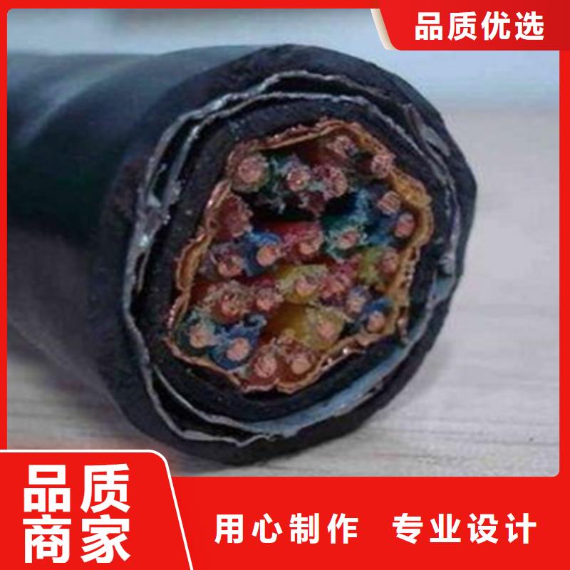 低烟低卤PTYA铁路信号电缆