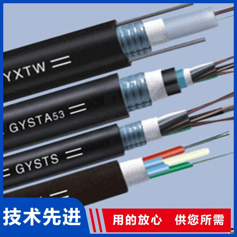 低烟低卤PTYA铁路信号电缆