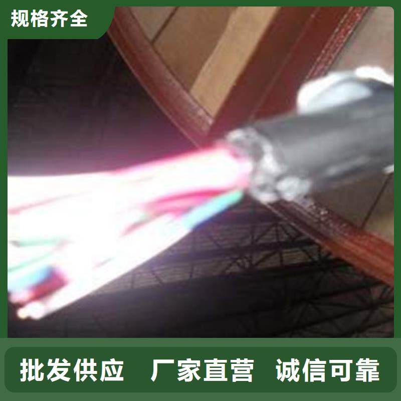 低烟低卤PTYA铁路信号电缆