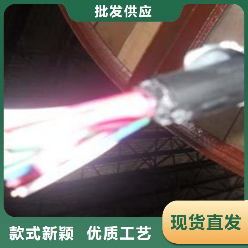 低烟低卤PTYA铁路信号电缆