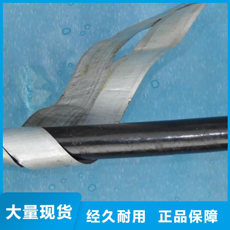 环保型9芯铁路信号电缆