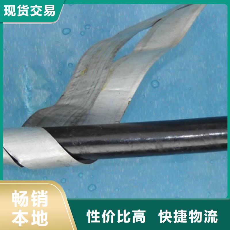 低烟低卤PTYA铁路信号电缆