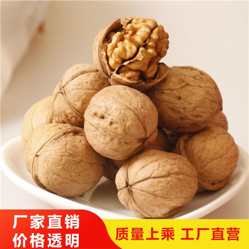 核桃苗 柱状梨树苗种类齐全