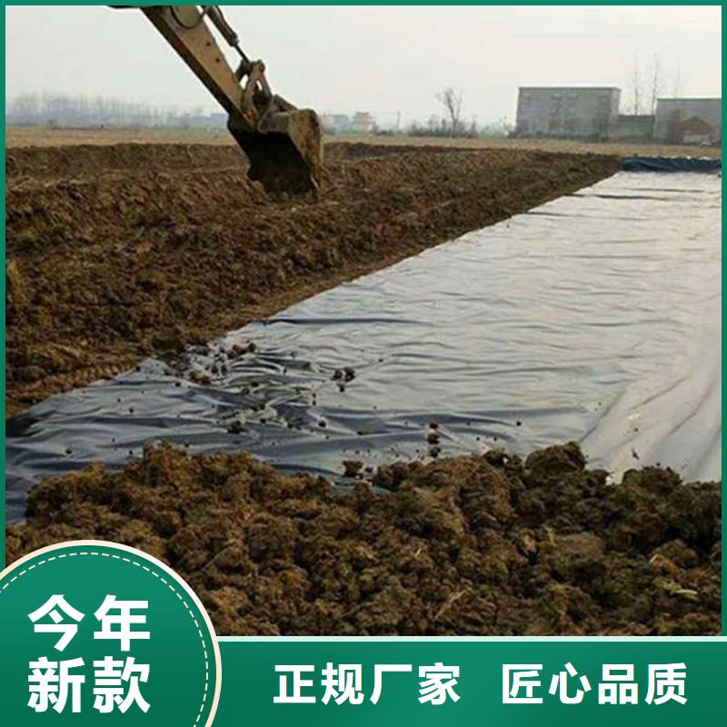 土工膜,土工膜高品质诚信厂家