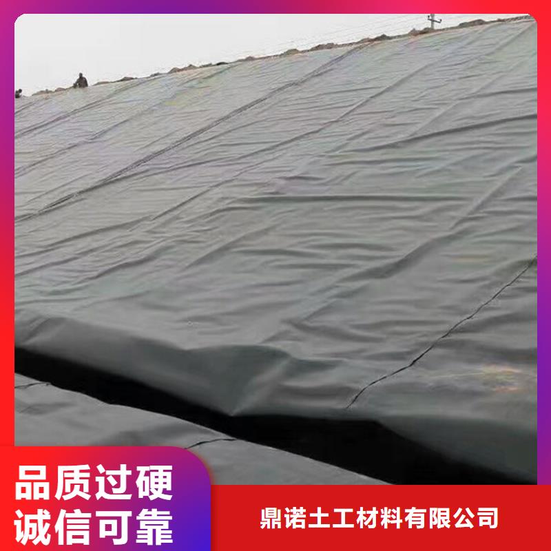 土工膜,土工膜高品质诚信厂家