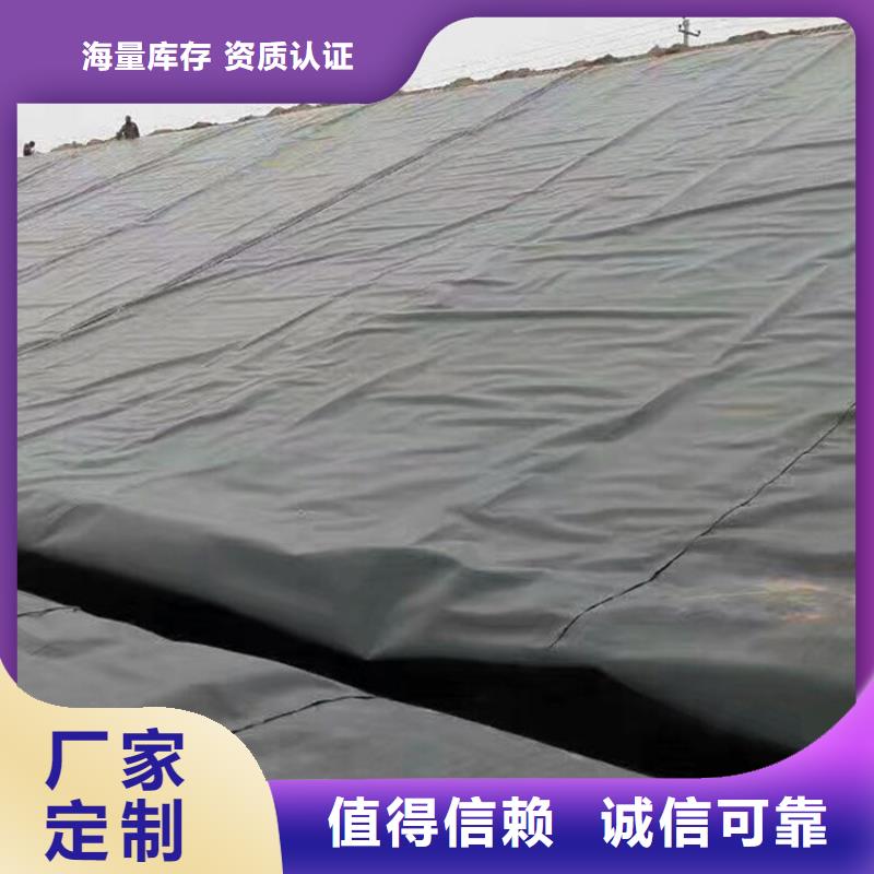 土工膜,土工膜高品质诚信厂家