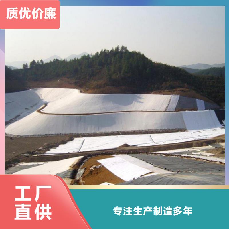 土工膜,土工膜高品质诚信厂家