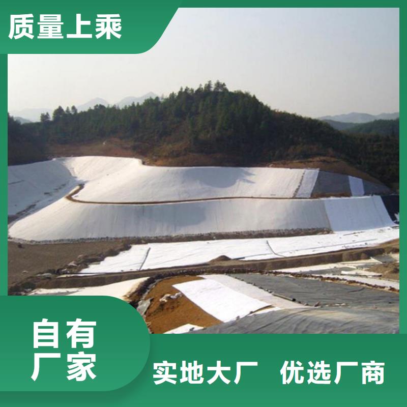 土工膜两布一膜用心制作