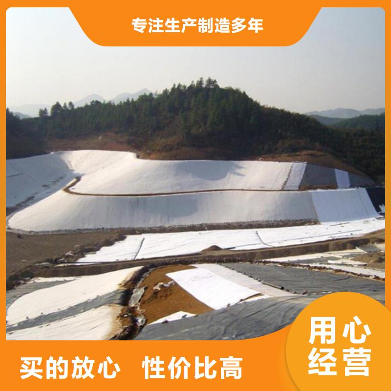 土工膜,土工膜高品质诚信厂家
