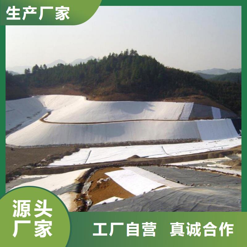 土工膜养殖土工膜厂家案例