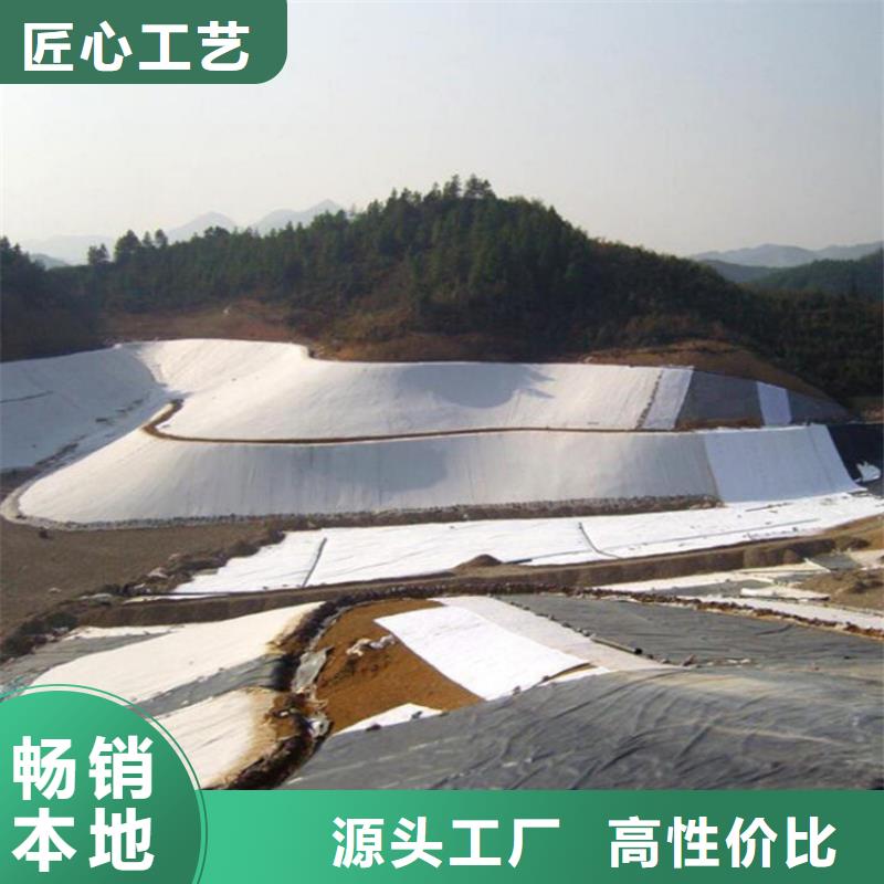 土工膜两布一膜用心制作