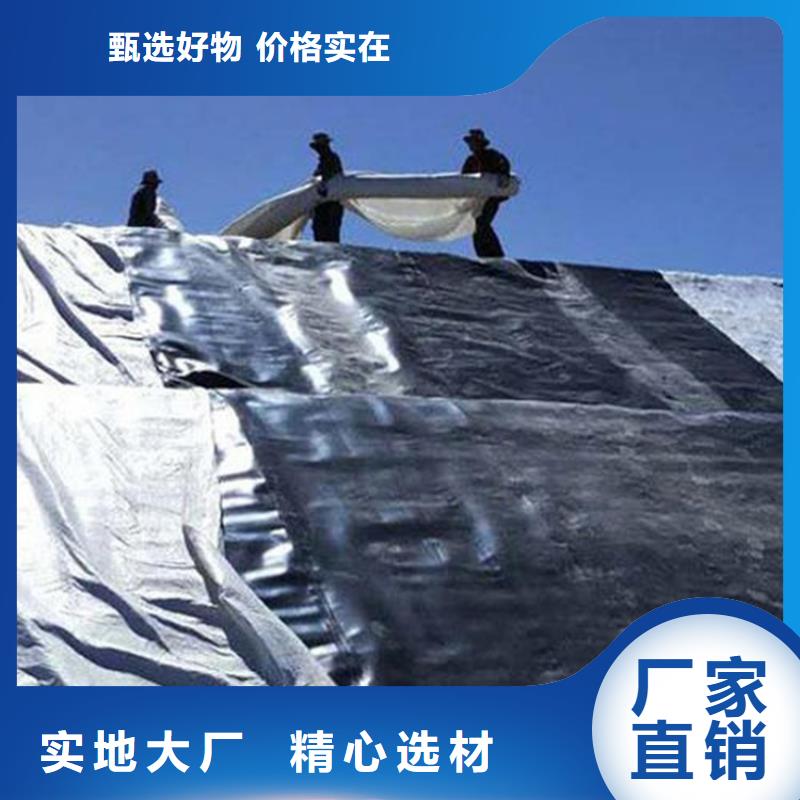 土工膜,土工膜高品质诚信厂家