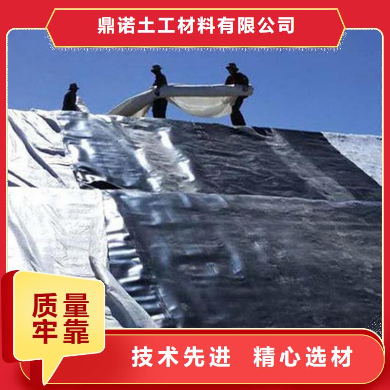 土工膜,土工膜高品质诚信厂家