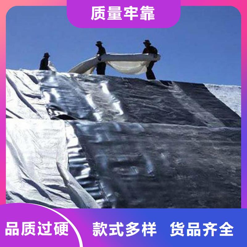 土工膜,土工膜高品质诚信厂家