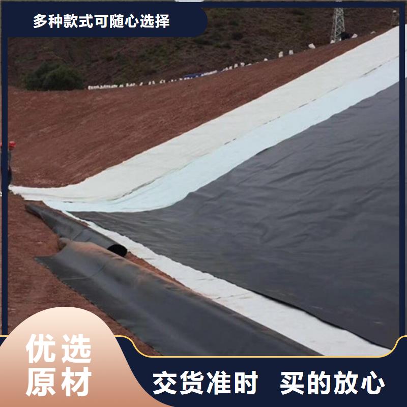 土工膜,土工膜高品质诚信厂家