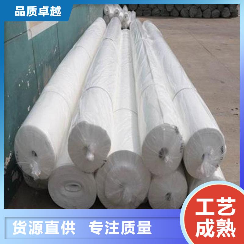 土工布防渗土工布源厂直接供货
