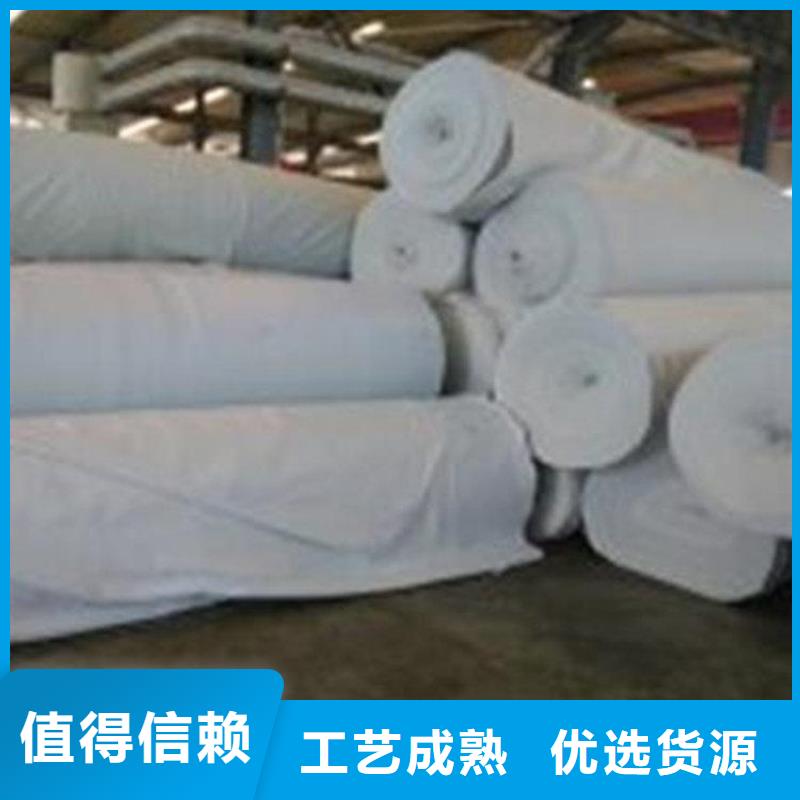 土工布防渗土工布用心做好每一件产品