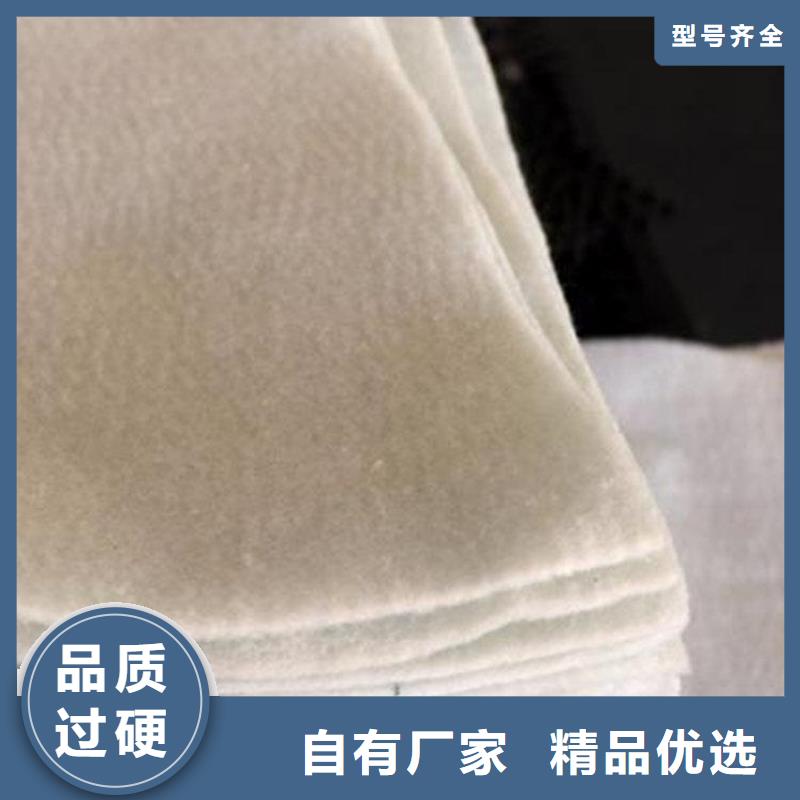 土工布防渗土工布源厂直接供货