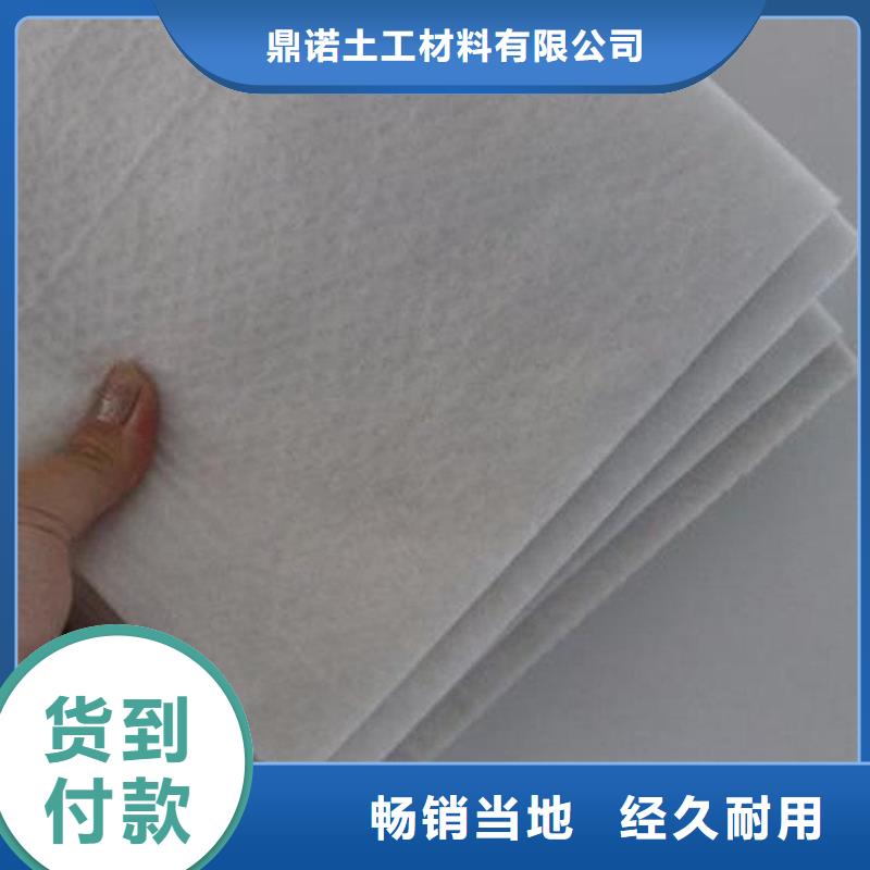 土工布防渗土工布源厂直接供货