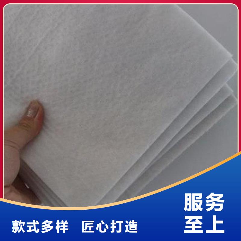 土工布防渗土工布源厂直接供货