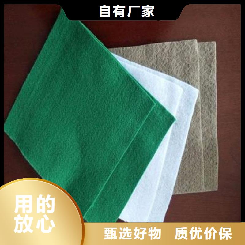 土工布防渗土工布源厂直接供货