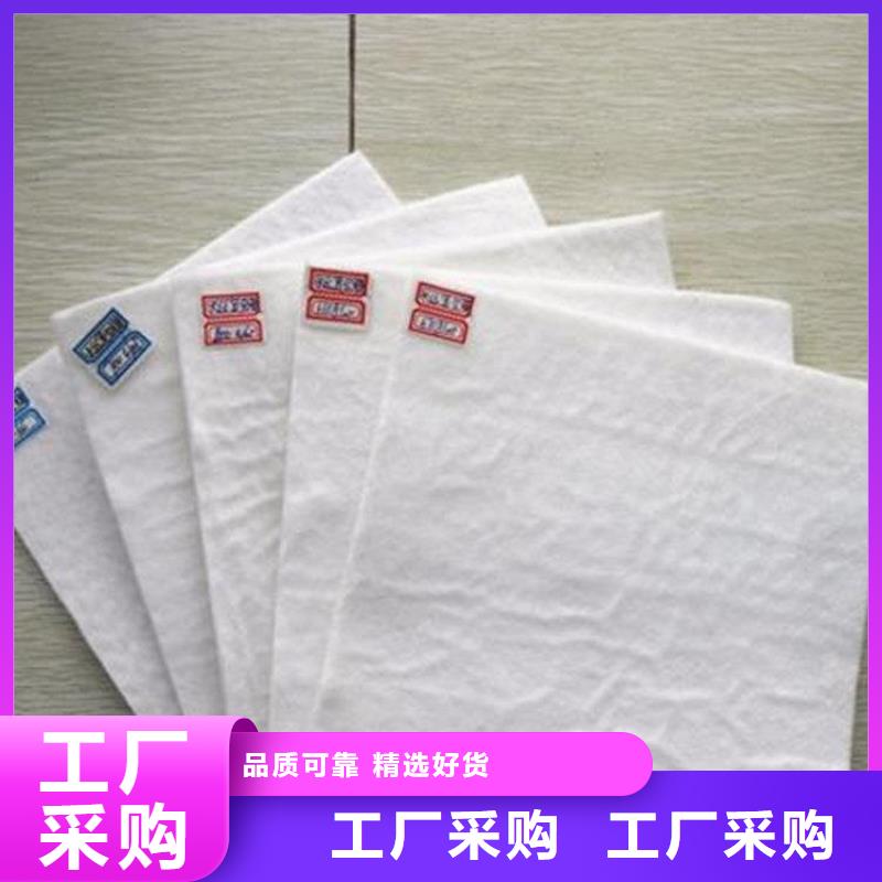 土工布聚丙烯土工布现货直供