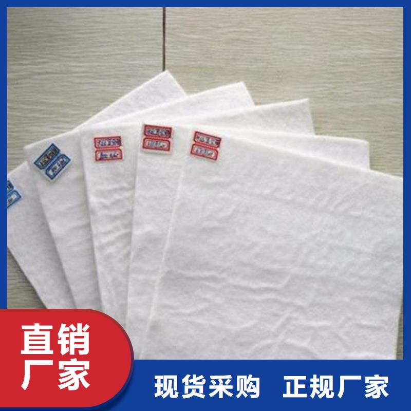 土工布防渗土工布源厂直接供货