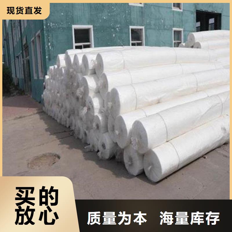 土工布防渗土工布源厂直接供货