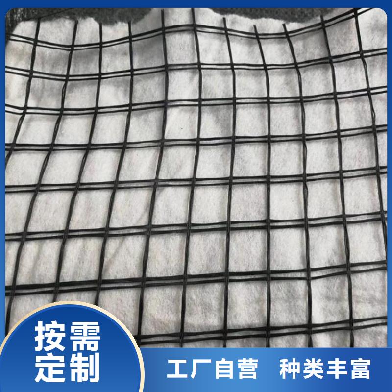 土工格栅钢塑双向土工格栅实力厂商