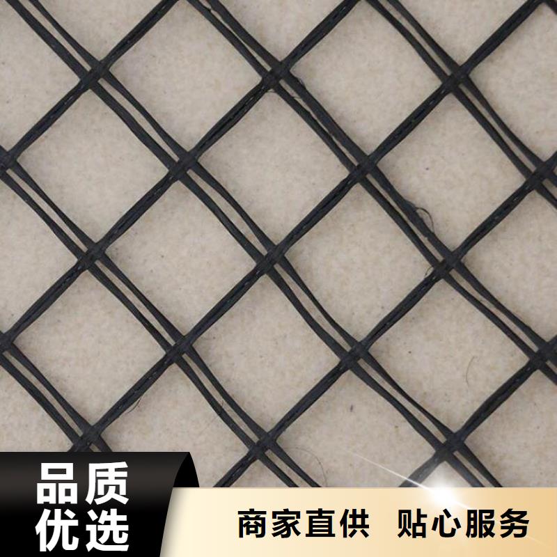 土工格栅钢塑双向土工格栅实力厂商