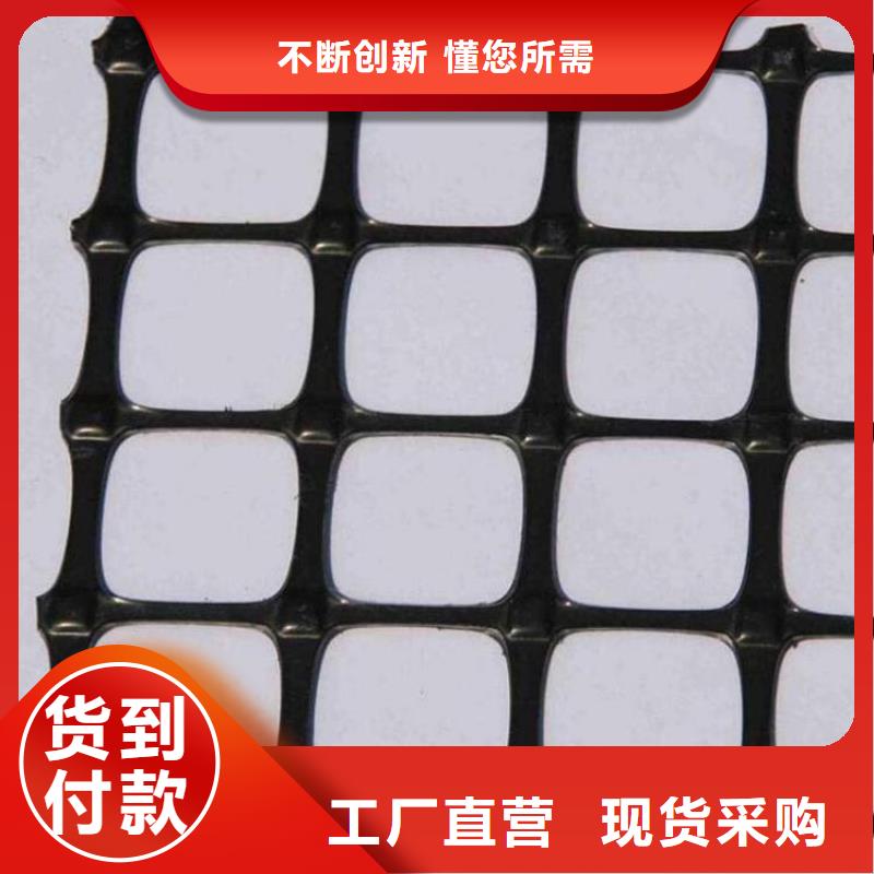 土工格栅钢塑双向土工格栅实力厂商