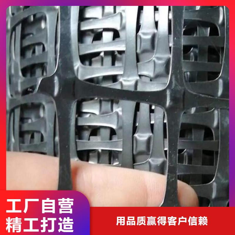 土工格栅钢塑双向土工格栅实力厂商