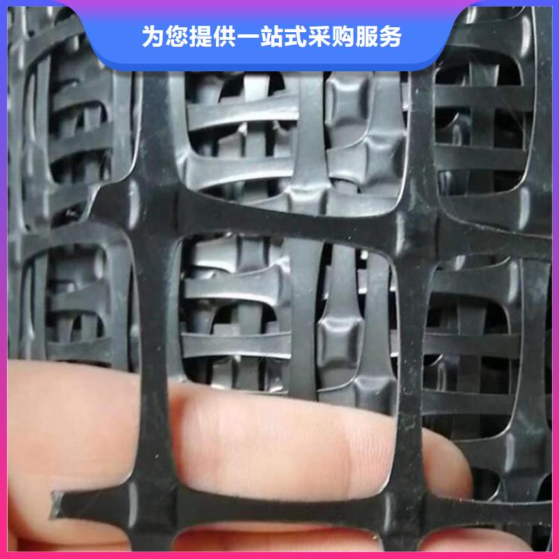 土工格栅钢塑双向土工格栅实力厂商