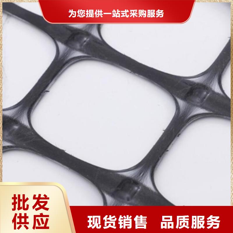 土工格栅钢塑双向土工格栅实力厂商