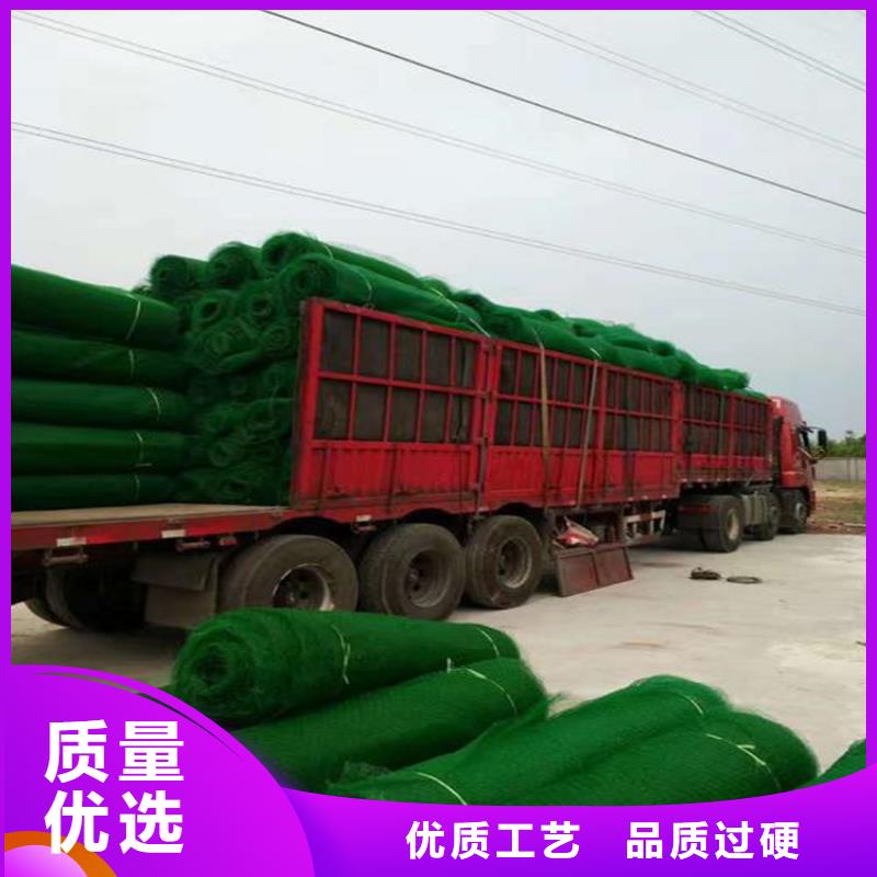 三维植被网三维土工网专注生产N年