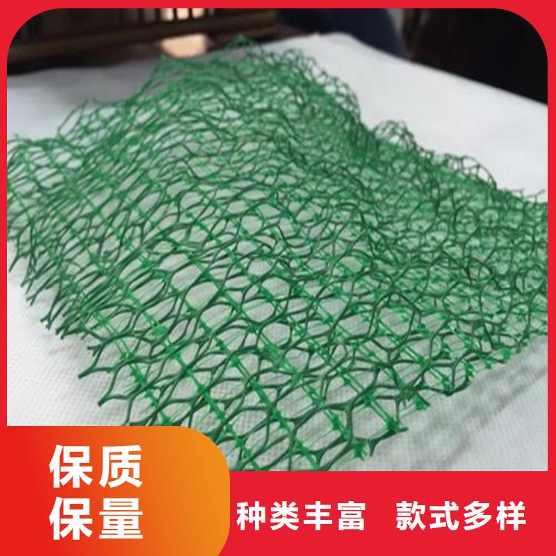 三维植被网三维土工网专注生产N年