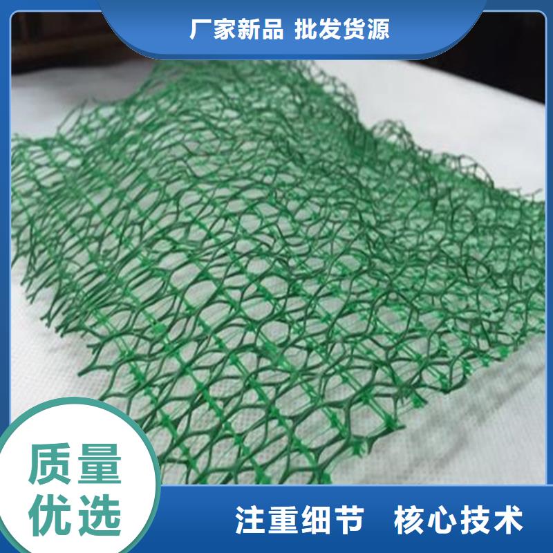 三维植被网三维土工网专注生产N年