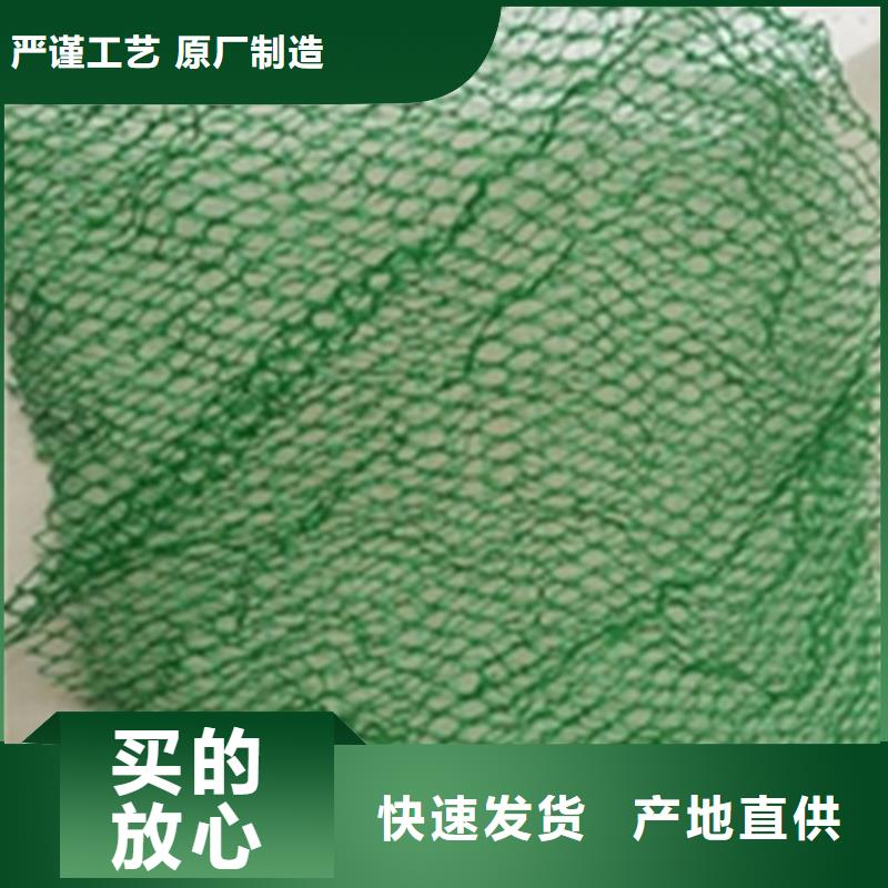 三维植被网三维土工网专注生产N年