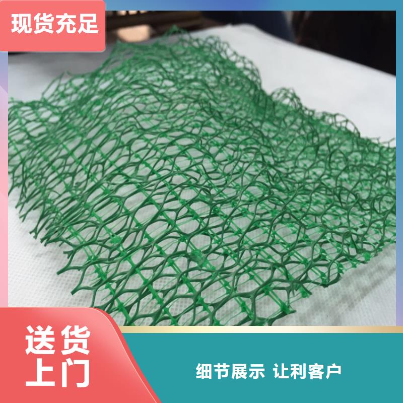 三维植被网加筋麦克垫高性价比