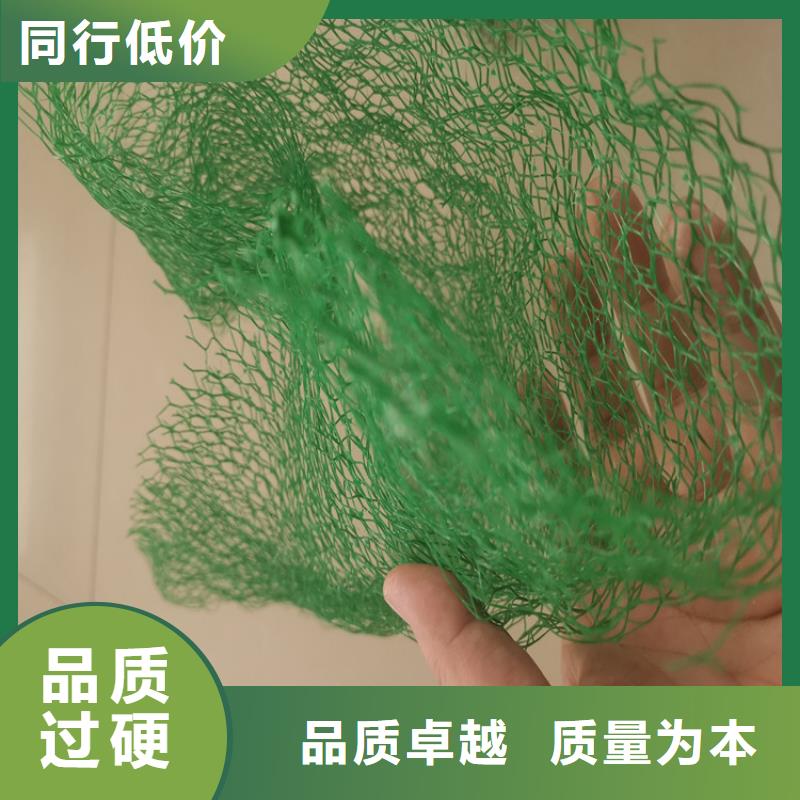 三维植被网加筋麦克垫高性价比