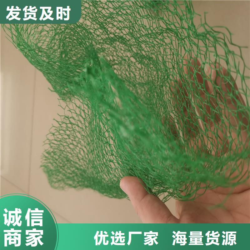 三维植被网加筋麦克垫多年实力厂家