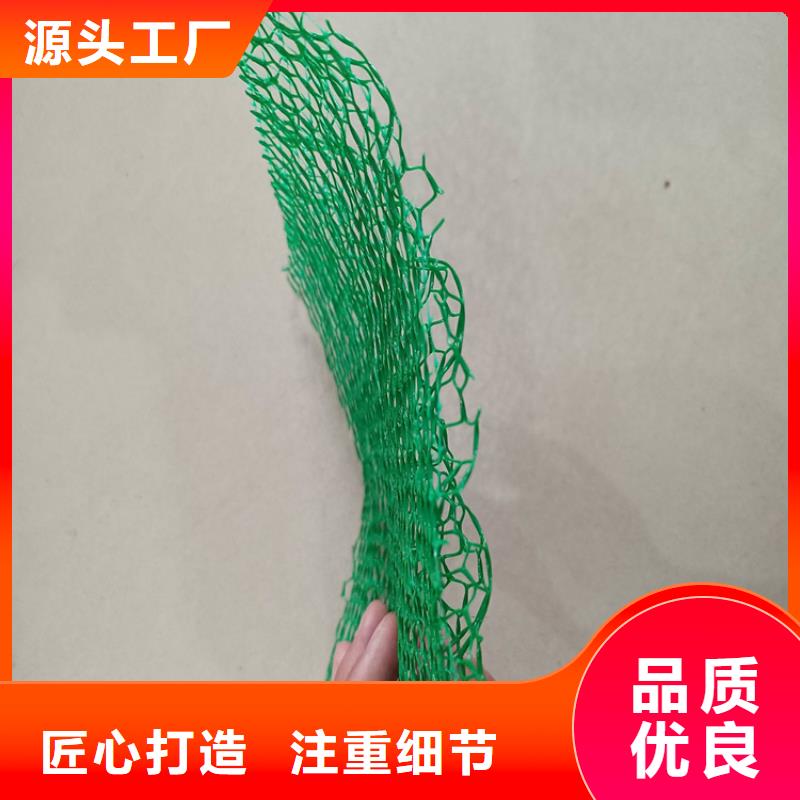 三维植被网-土工网用心细节