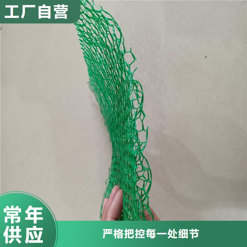 三维植被网加筋麦克垫多年实力厂家