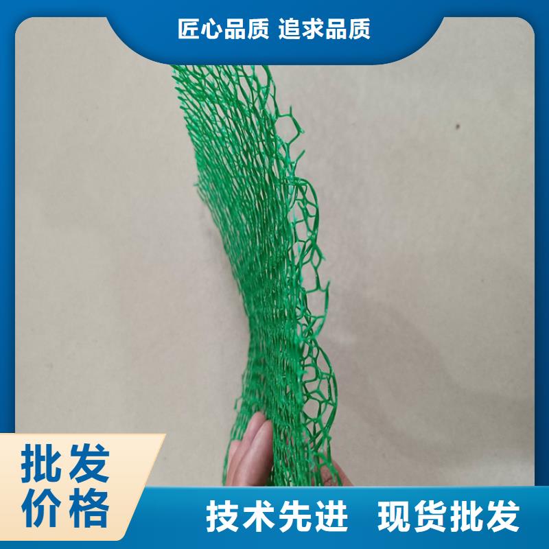 三维植被网加筋麦克垫多年实力厂家