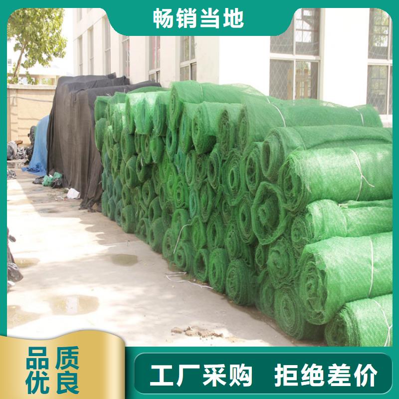 三维植被网-土工网用心细节